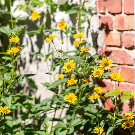 An Der Marina Kröslin